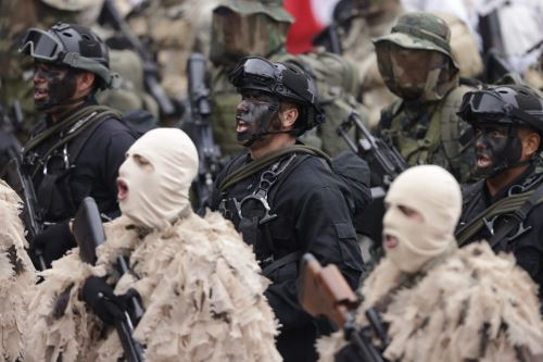 image-109 29 de julio: conoce quiénes serán los protagonistas de la Gran Parada Cívico Militar