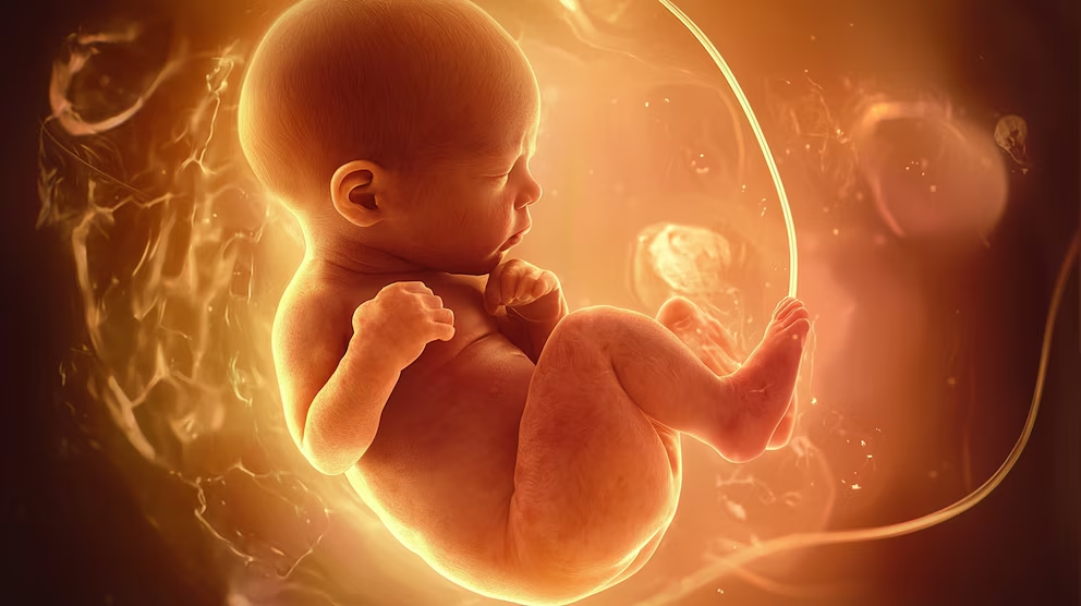 image-40 Una mujer fue madre a los 63 años y su caso interpeló a la ciencia: la mirada de los expertos