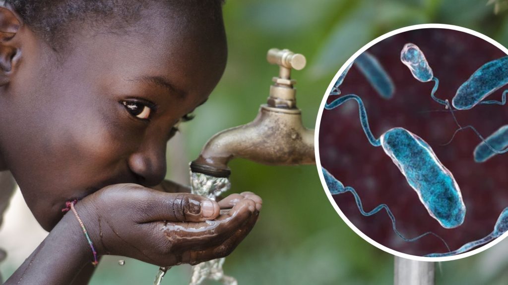 COLERA-02-1024x576 El cólera repunta en el mundo: alerta por el impacto en la salud pública de Perú y Sudamérica