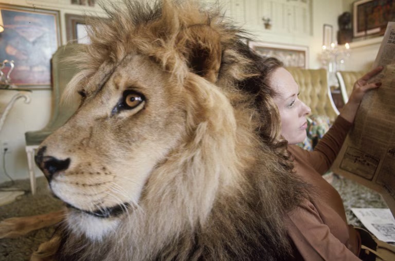 IMG_1749 Un león en casa: las increíbles fotos de la actriz Melanie Griffith y su madre Tippi Hedren